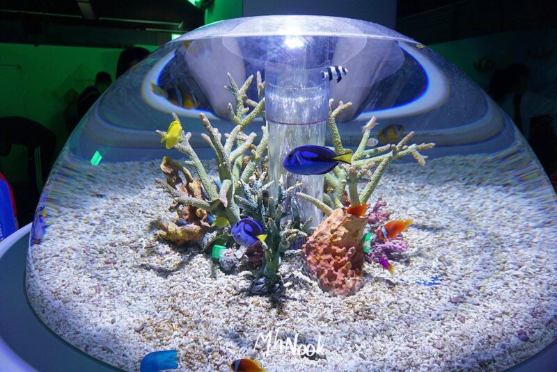 Osaka Aquarium Kaiyukan รีวิว, ไคยูคัง โอซาก้า, ไคยูคัง โอซาก้า pantip