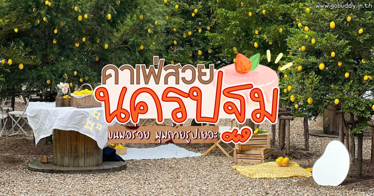 10 คาเฟ่นครปฐม 2566 บรรยากาศดี เค้กอร่อย มุมถ่ายรูปสวยๆ เพียบ เปิดใหม่ล่าสุด - GoBuddy