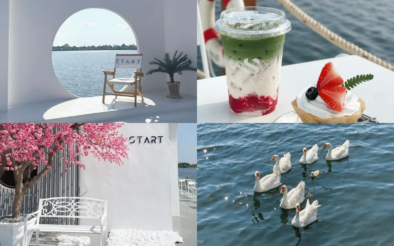 10 คาเฟ่นครปฐม [year] ร้านกาแฟ นครปฐม 2568 บรรยากาศดี เค้กอร่อย มุมถ่ายรูปสวยๆ เพียบ