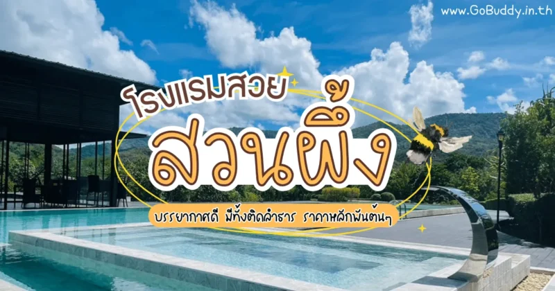 ที่พักสวนผึ้ง สวยๆ, พักผ่อนธรรมชาติ, โรงแรมสวนผึ้ง ราชบุรี, ที่พักสวนผึ้ง, ที่พักสวนผึ้ง รีวิว, สวนผึ้ง ที่พัก, ที่พักสวนผึ้งเปิดใหม่, ที่พักสวนผึ้งสวยๆ, ที่พักสวนผึ้ง สวยๆ ราคาถูก, ที่พักสวนผึ้ง ไม่เกิน 1500, ที่พักสวนผึ้งราคาหลักร้อย, ที่พักสวนผึ้งติดลําธาร, ที่พัก สวนผึ้ง ทะเลหมอก, ผาปก อีโค่ รีสอร์ท, Phapok Eco Resort, วิลล่า โมรีดา, สวิส วัลเลย์ ฮิพ รีสอร์ท ราชบุรี, Swiss Valley Hip Resort, เดอะ โลเคชั่น รีสอร์ต, ลอฟต์ เบอรี รีสอร์ท, ลาโพรวองซ์ สวนผึ้ง โฮเต็ล, เดอะ นากายา รีสอร์ท, อาสคาญ่า บูติก รีสอร์ท, มนดารา วิลล่า แอนด์ แกลมปิ้ง, ไบบุรี รีสอร์ท, สวนผึ้ง ราชบุรี ที่พัก
