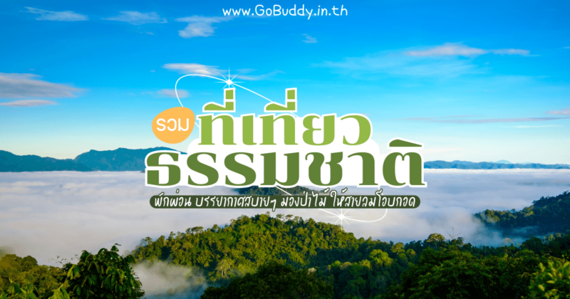 ที่เที่ยวธรรมชาติ,ที่เที่ยวธรรมชาติ เงียบๆ, ที่เที่ยวธรรมชาติ เงียบๆ, อุทยานแห่งชาติพุเตย, สวนยาหลวง, ทุ่งโปรงทอง, ละลุ สระแก้ว, พะเนินทุ่ง, เขาช่องลม, อุทยานแห่งชาติภูสวนทราย, วนอุทยานเขาแหลมสิงห์, ล่องแพไม้ไผ่, เขายายเที่ยง