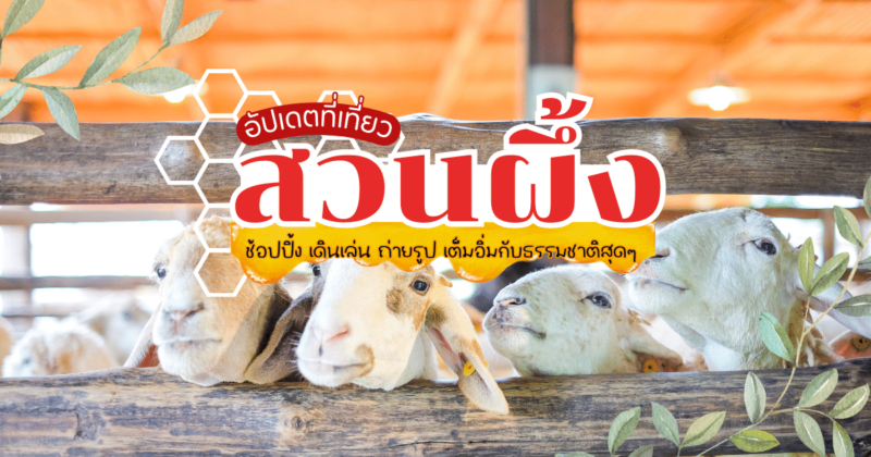 ราชบุรี สวนผึ้ง เที่ยวไหนดี, ที่เที่ยวราชบุรี, ที่เที่ยวสวนผึ้ง,เที่ยวสวนผึ้ง