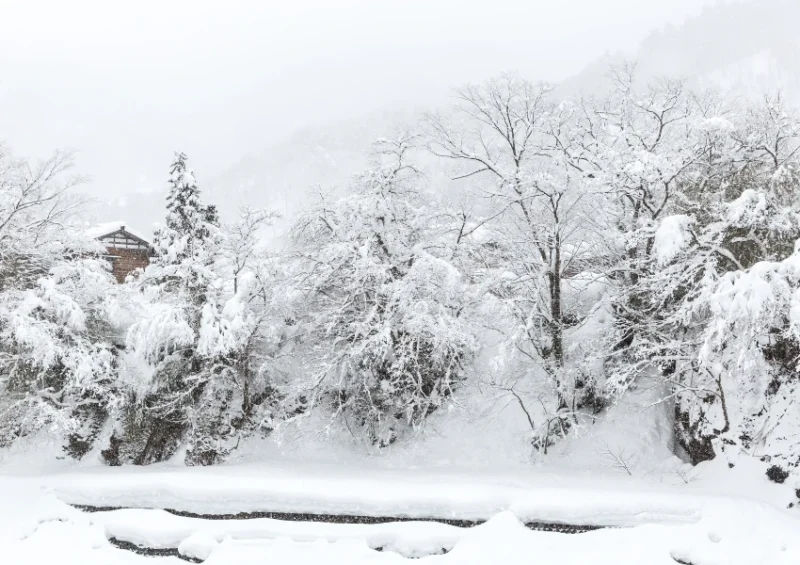 10 ที่เที่ยวญี่ปุ่น หน้าหนาว 2567 เที่ยวหิมะญี่ปุ่น เดือนไหนดี รู้อย่างงี้แล้ว พร้อมบินได้เลย