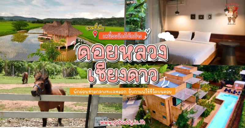 เชียงดาว จังหวัดเชียงใหม่, ดอยหลวงเชียงดาว, เชียงดาว นอนไหนดี, ที่พักเชียงดาว วิวสวย, ที่พักเชียงดาว โฮมสเตย์, ที่พักเชียงดาว ธรรมชาติ, ที่พักเชียงดาว ราคาไม่แพง, ที่พักเชียงดาว หรู, ที่พักเชียงดาว ราคาถูก, โรงแรมเชียงดาว เปิดใหม่